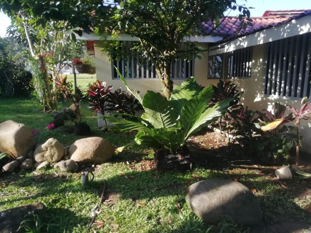 Casa Sophia 3 Listings Apartment 1 Or Apartment 2 Separately Or Apt 1 And 2 Together All With Fo Internet กวาปิเลส ภายนอก รูปภาพ