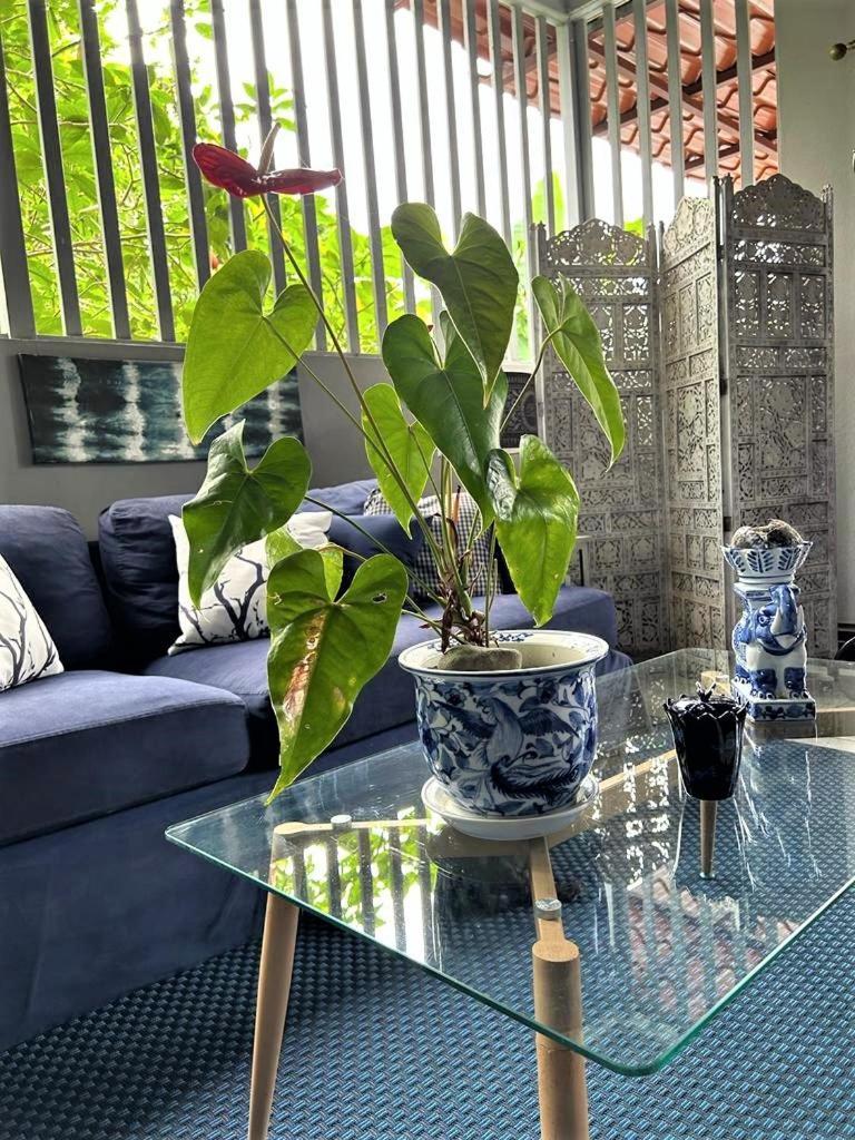 Casa Sophia 3 Listings Apartment 1 Or Apartment 2 Separately Or Apt 1 And 2 Together All With Fo Internet กวาปิเลส ภายนอก รูปภาพ
